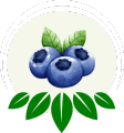 Global Exotic Bite Blueberries Icon