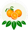 Global Exotic Bite Citrus Icon