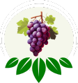 Global Exotic Bite Grapes Icon