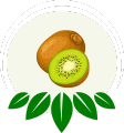 Global Exotic Bite Kiwi Icon