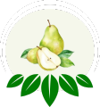 Global Exotic Bite Pear Icon