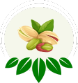 Global Exotic Bite Pistachios Icon