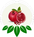 Global Exotic Bite Pomegranate Icon