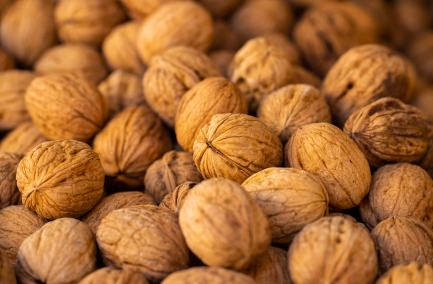 Global Exotic Walnuts